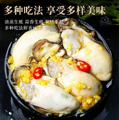 生蚝乳山特大鲜活海蛎子刺身牡蛎生鲜官方旗舰店商用批发整箱10斤