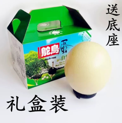顺丰包邮超大鸵鸟蛋鸸鹋蛋新鲜可食用蛋特大号驼鸟